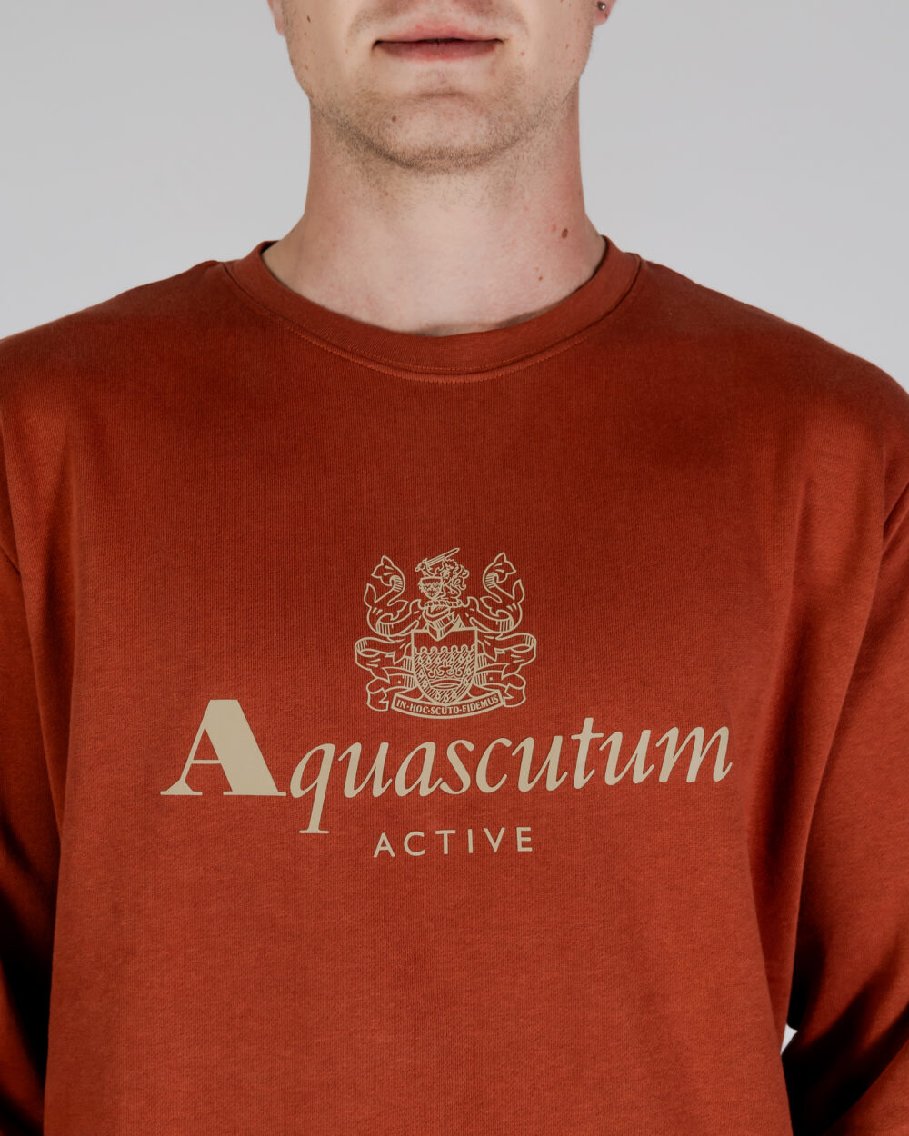 Felpa senza cappuccio Aquascutum ACTIVE BIG LOGO CREWNECK Ruggine - Foto 4