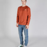 Felpa senza cappuccio Aquascutum ACTIVE SMALL LOGO CREWNECK Ruggine - Foto 2