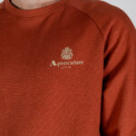 Felpa senza cappuccio Aquascutum ACTIVE SMALL LOGO RAGLAN Ruggine - Foto 2