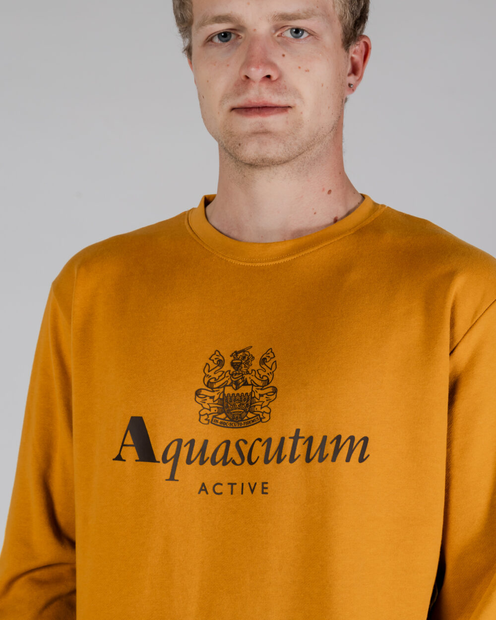 Felpa senza cappuccio Aquascutum ACTIVE BIG LOGO CREWNECK Senape - Foto 4