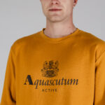 Felpa senza cappuccio Aquascutum ACTIVE BIG LOGO CREWNECK Senape - Foto 4