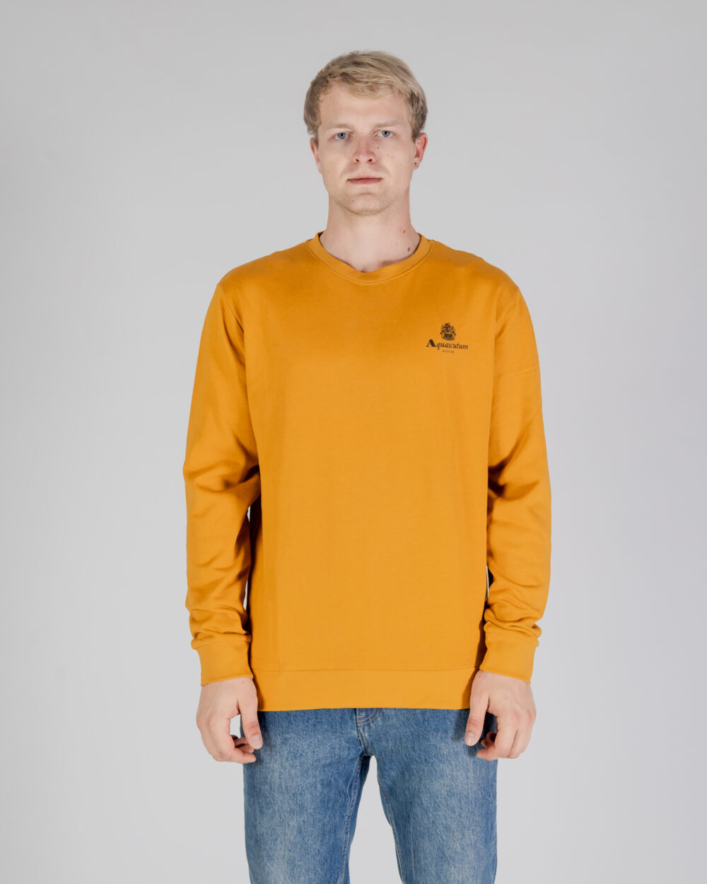 Felpa senza cappuccio Aquascutum ACTIVE SMALL LOGO CREWNECK Senape - Foto 1