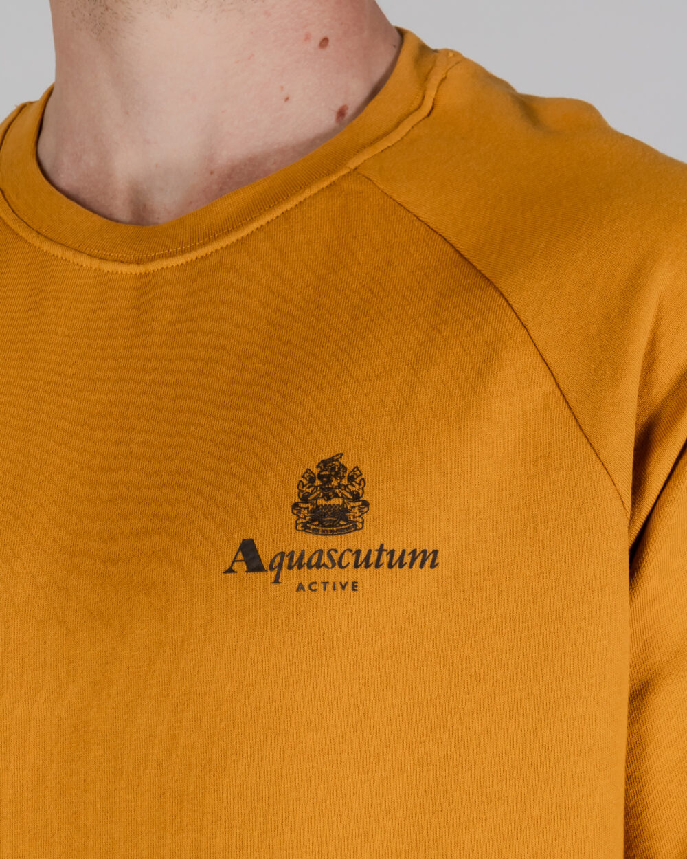 Felpa senza cappuccio Aquascutum ACTIVE SMALL LOGO RAGLAN Senape - Foto 2