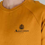 Felpa senza cappuccio Aquascutum ACTIVE SMALL LOGO RAGLAN Senape - Foto 2