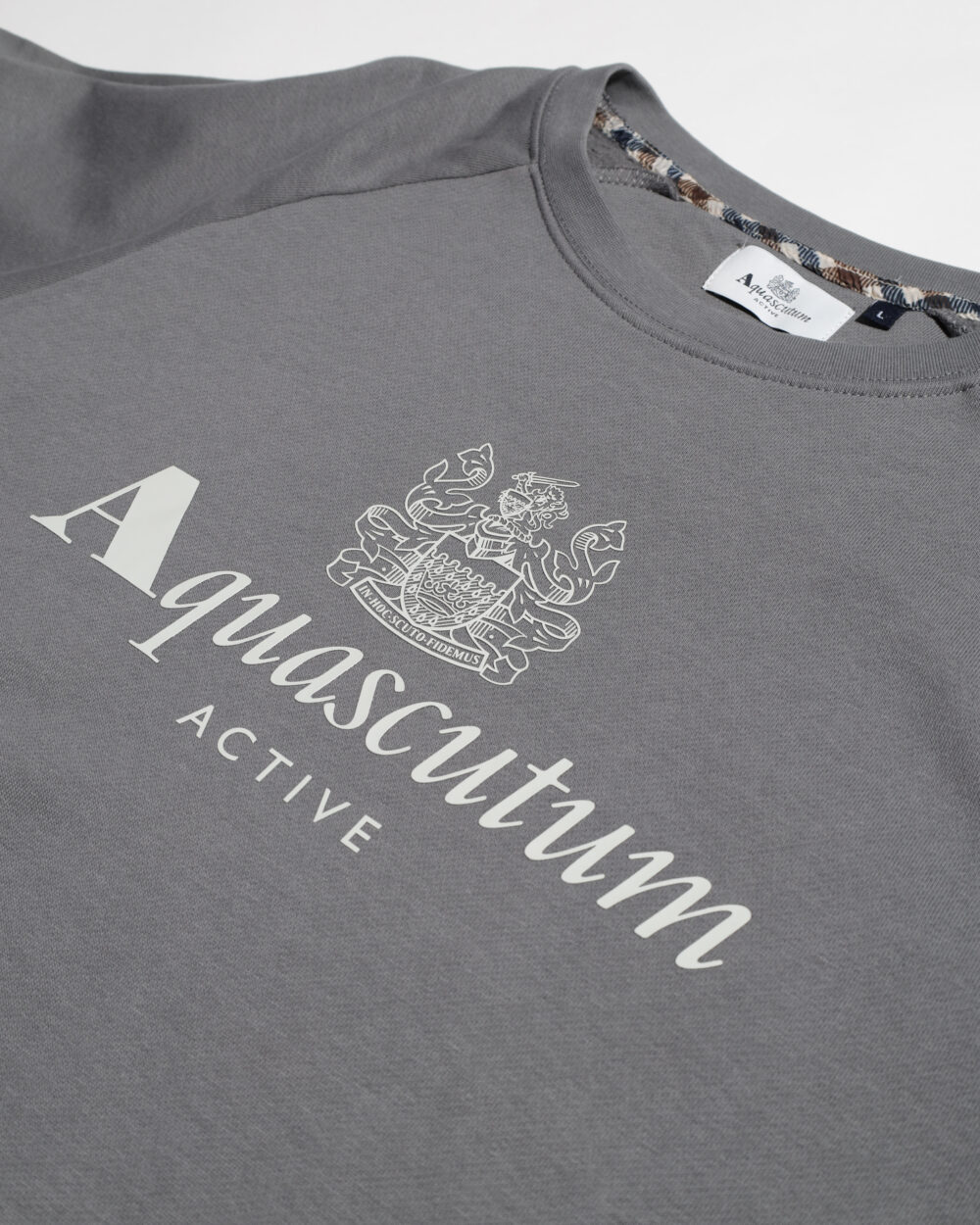 Felpa senza cappuccio Aquascutum ACTIVE BIG LOGO RAGLAN Antracite - Foto 3