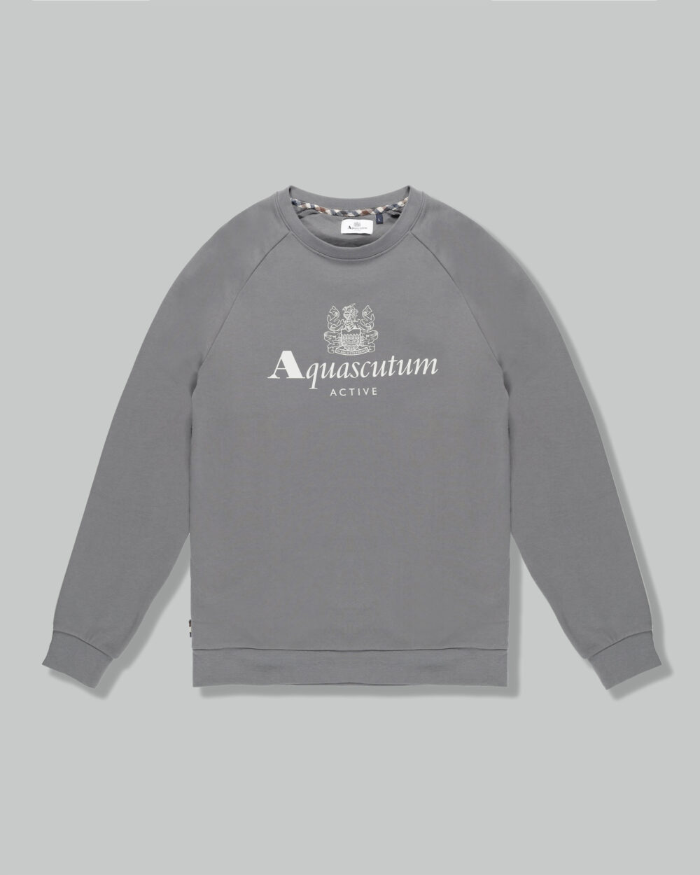 Felpa senza cappuccio Aquascutum ACTIVE BIG LOGO RAGLAN Antracite - Foto 1