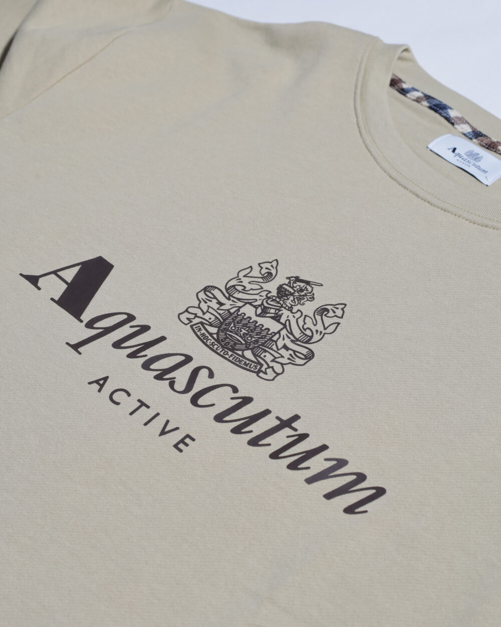 Felpa senza cappuccio Aquascutum ACTIVE BIG LOGO CREWNECK Beige - Foto 3