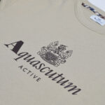 Felpa senza cappuccio Aquascutum ACTIVE BIG LOGO CREWNECK Beige - Foto 3