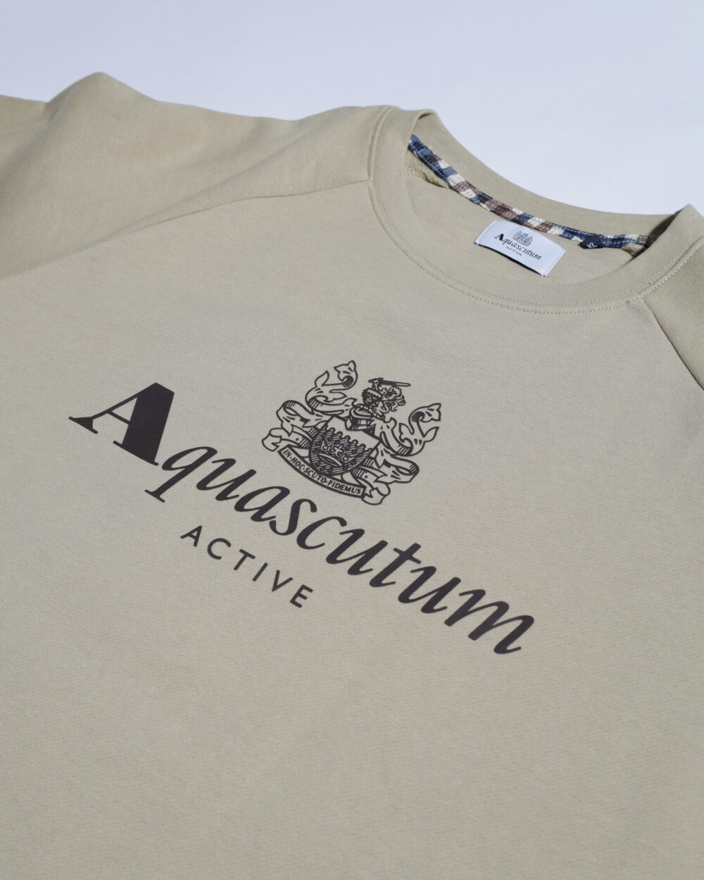 Felpa senza cappuccio Aquascutum ACTIVE BIG LOGO RAGLAN Beige - Foto 3