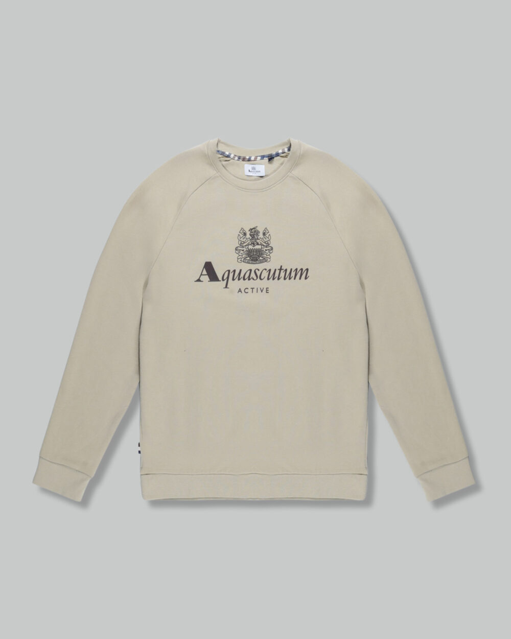 Felpa senza cappuccio Aquascutum ACTIVE BIG LOGO RAGLAN Beige - Foto 1