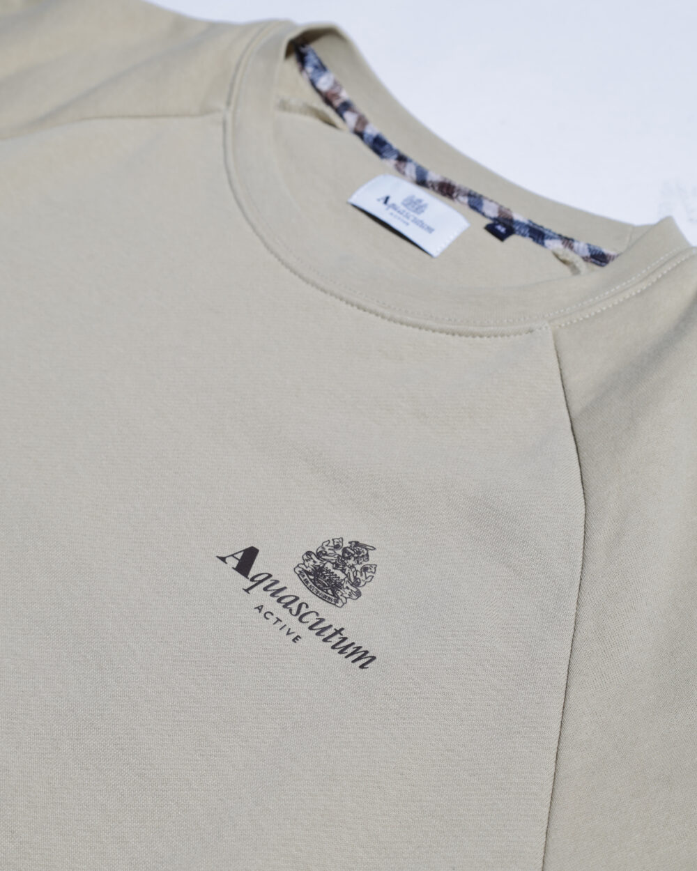 Felpa senza cappuccio Aquascutum ACTIVE SMALL LOGO RAGLAN Beige - Foto 2