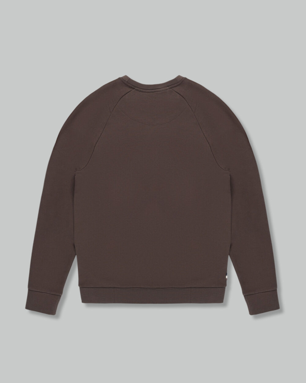 Felpa senza cappuccio Aquascutum ACTIVE BIG LOGO RAGLAN Marrone - Foto 2