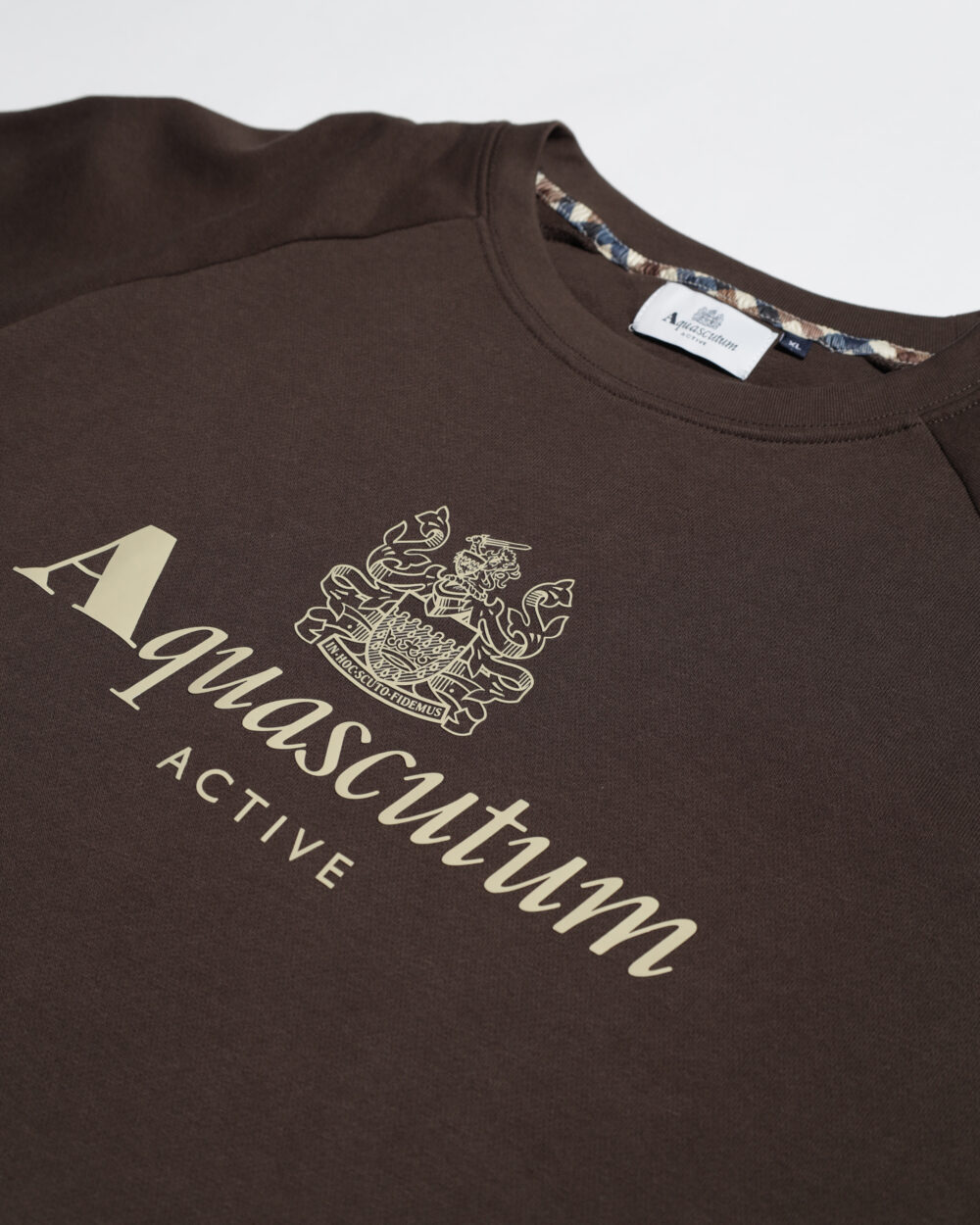 Felpa senza cappuccio Aquascutum ACTIVE BIG LOGO RAGLAN Marrone - Foto 3