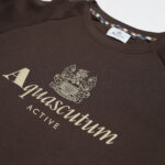 Felpa senza cappuccio Aquascutum ACTIVE BIG LOGO RAGLAN Marrone - Foto 3