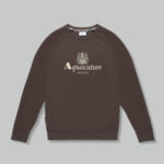 Felpa senza cappuccio Aquascutum ACTIVE BIG LOGO RAGLAN Marrone - Foto 1