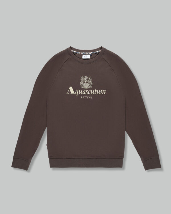 Felpa senza cappuccio Aquascutum ACTIVE BIG LOGO RAGLAN Marrone - Foto 1