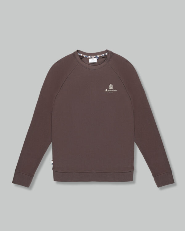 Felpa senza cappuccio Aquascutum ACTIVE SMALL LOGO RAGLAN Marrone - Foto 1