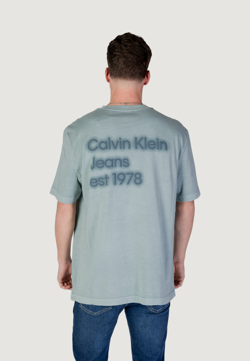 T-shirt Calvin Klein Jeans WASHED PUFF PRINT Verde - Foto 5