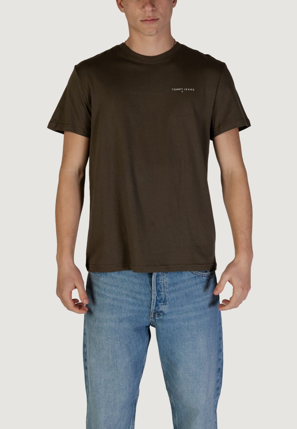 T-shirt Tommy Hilfiger Jeans TJM LINEAR Verde - Foto 2