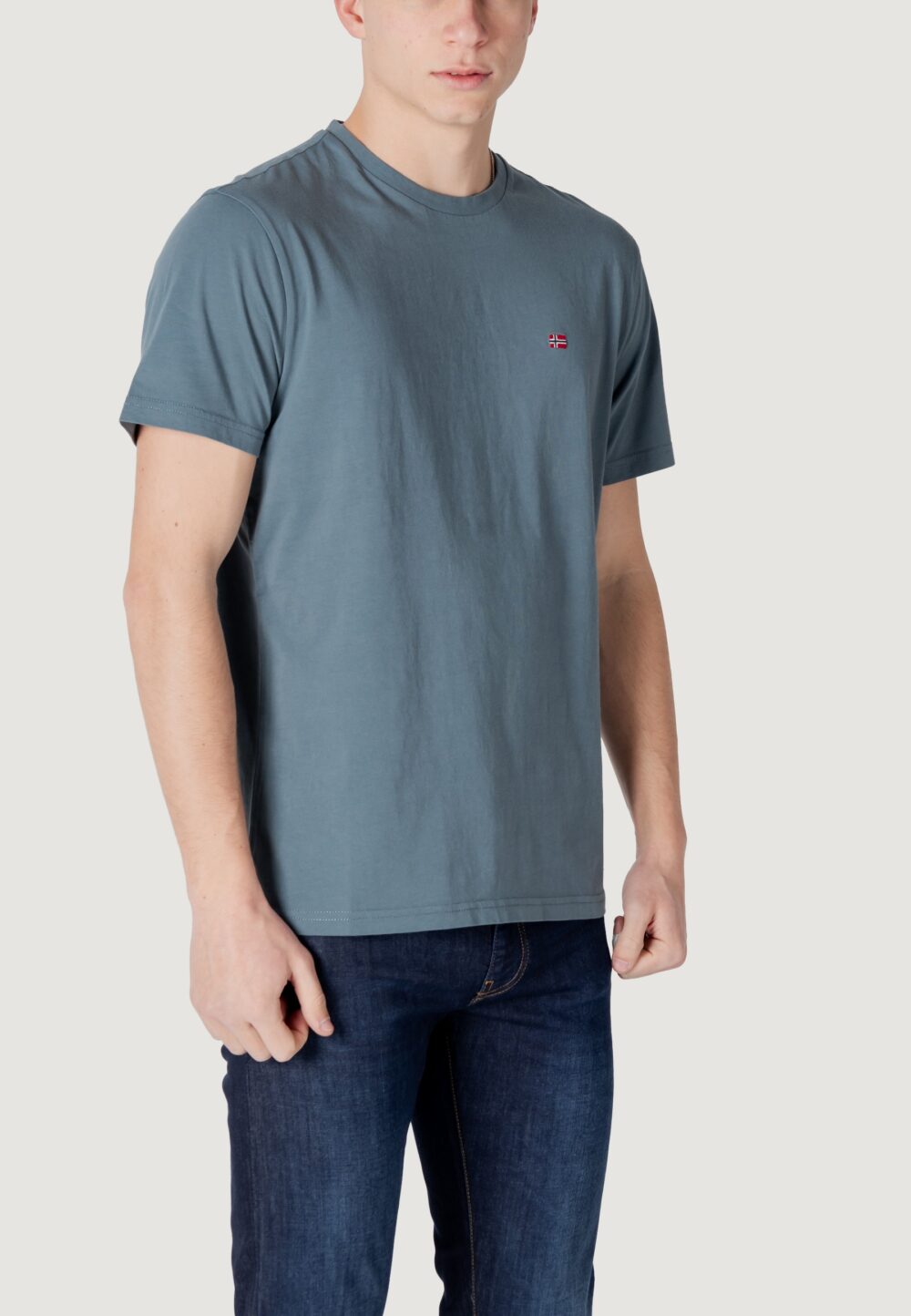 T-shirt Napapijri SALIS SS SUM Grigio - Foto 3