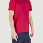 Polo manica corta Napapijri EALIS SS SUM Bordeaux - Foto 3