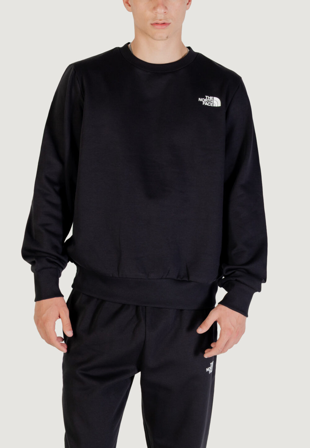 Felpa senza cappuccio THE NORTH FACE M SIMPLE DOME CREW Nero - Foto 1