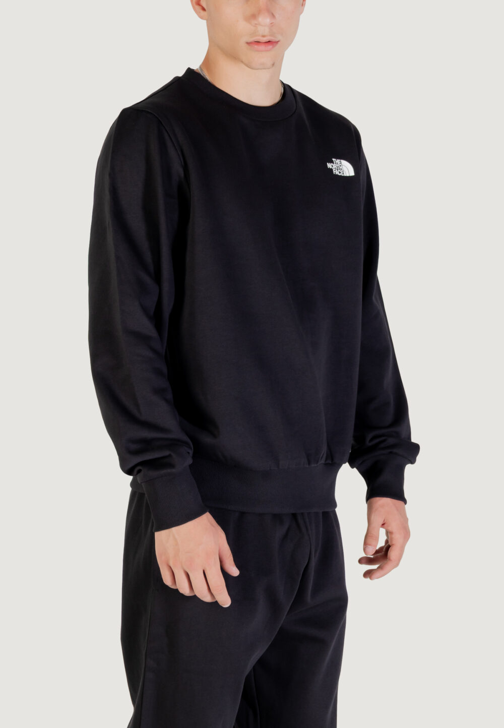 Felpa senza cappuccio THE NORTH FACE M SIMPLE DOME CREW Nero - Foto 4