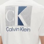 T-shirt Calvin Klein SS 30s EU SP CK ABST Bianco - Foto 5