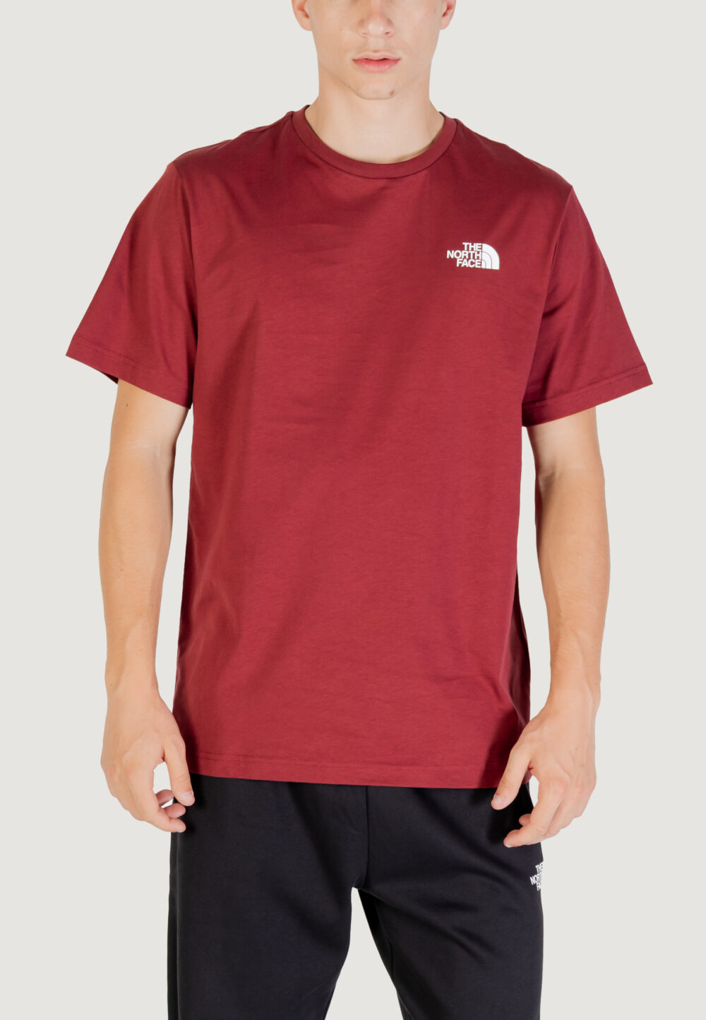 T-shirt THE NORTH FACE M SS BOX NSE TEE Bordeaux - Foto 1