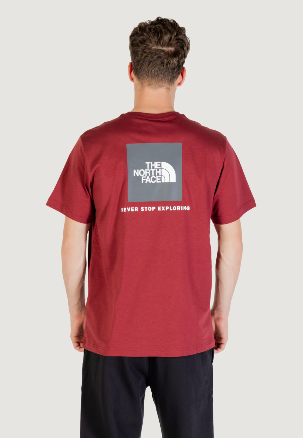 T-shirt THE NORTH FACE M SS BOX NSE TEE Bordeaux - Foto 4
