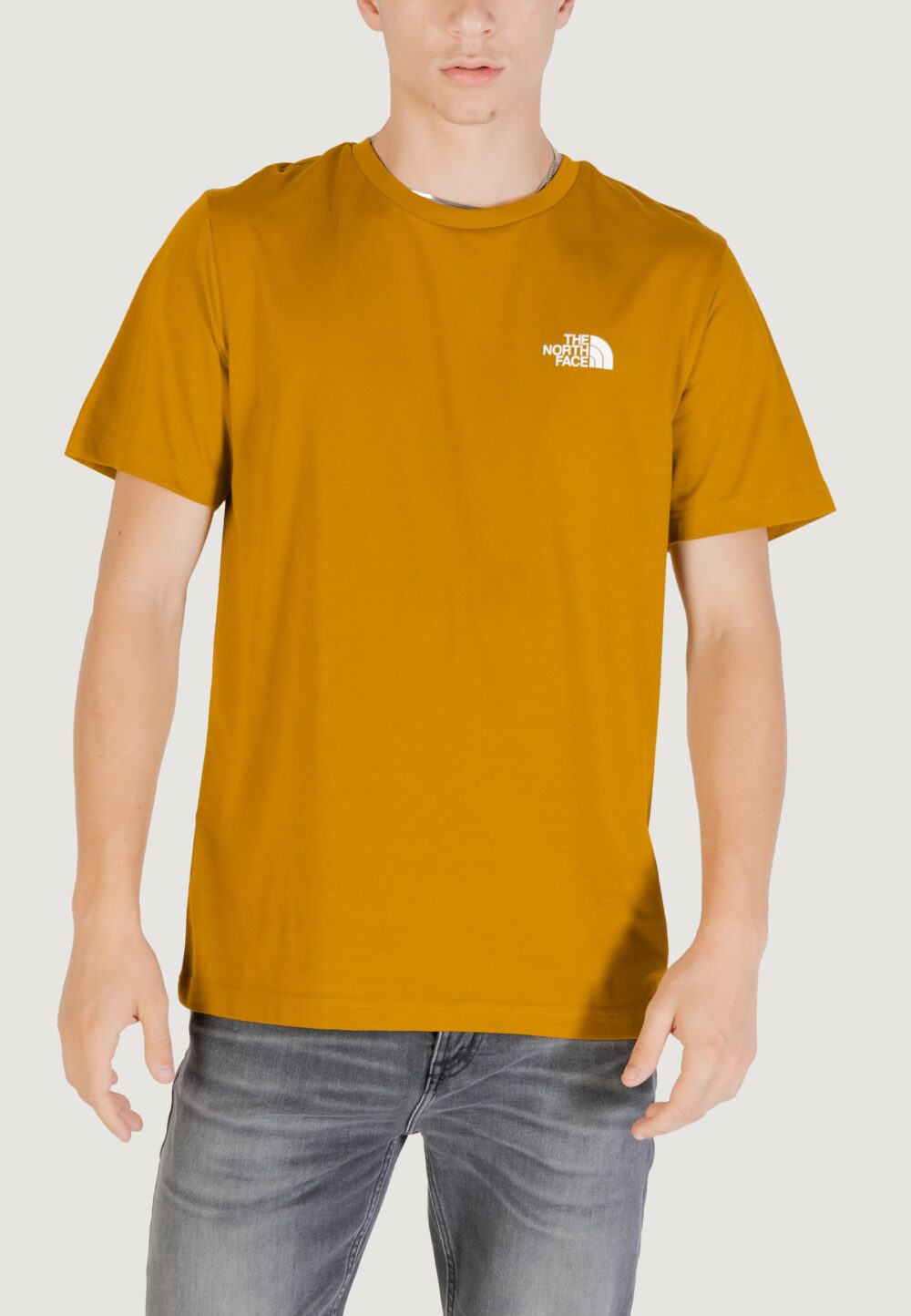 T-shirt THE NORTH FACE M SS SIMPLE DOME TEE Moss Green - Foto 1