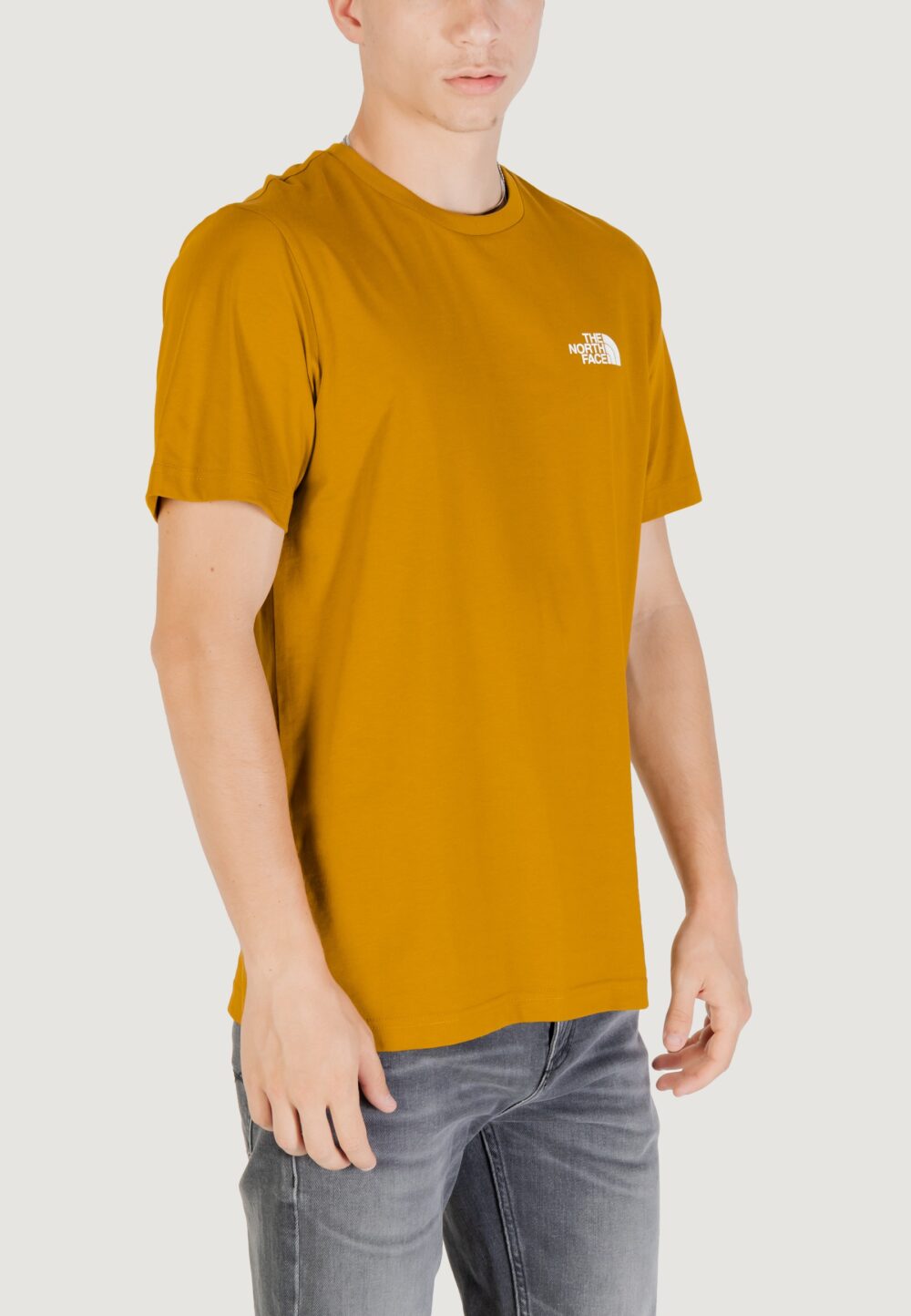 T-shirt THE NORTH FACE M SS SIMPLE DOME TEE Moss Green - Foto 3