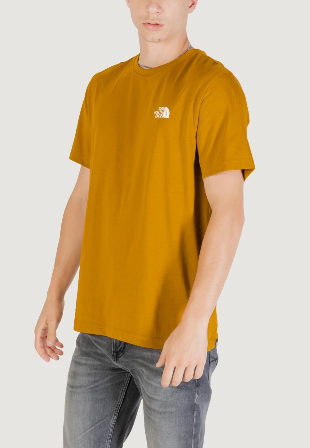 T-shirt THE NORTH FACE M SS SIMPLE DOME TEE Moss Green - Foto 4