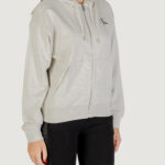 Felpa con cappuccio Calvin Klein Jeans MONOLOGO FRENCH TERR Grigio Chiaro - Foto 3