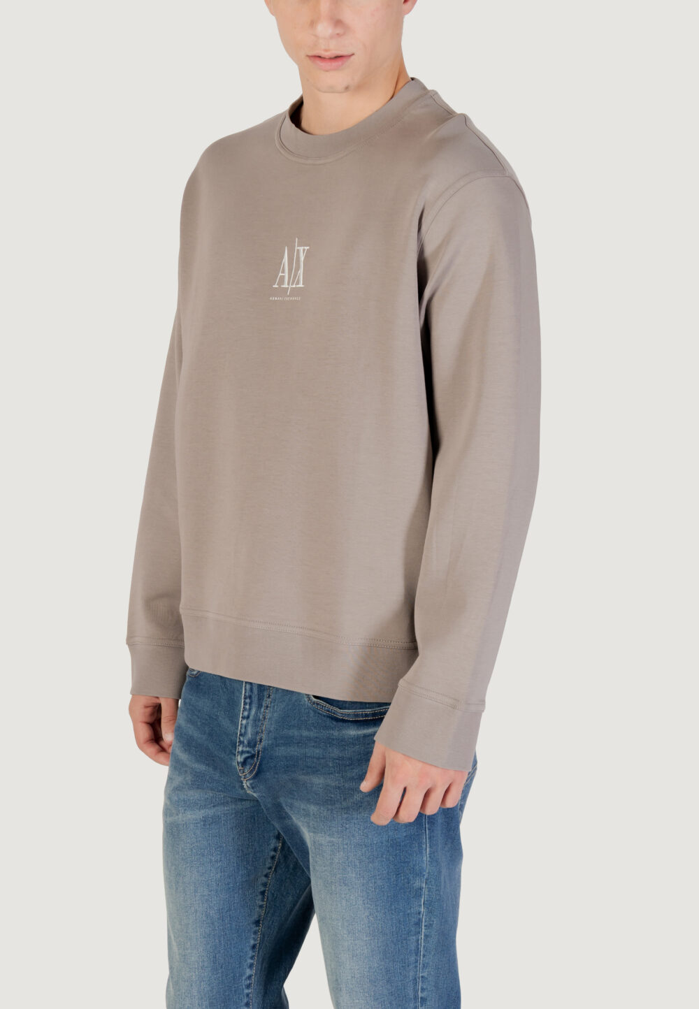 Felpa senza cappuccio Armani Exchange  Taupe - Foto 4