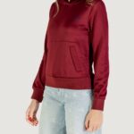 Felpa con cappuccio Calvin Klein LS HGH SHN FRNCH TRR Bordeaux - Foto 1