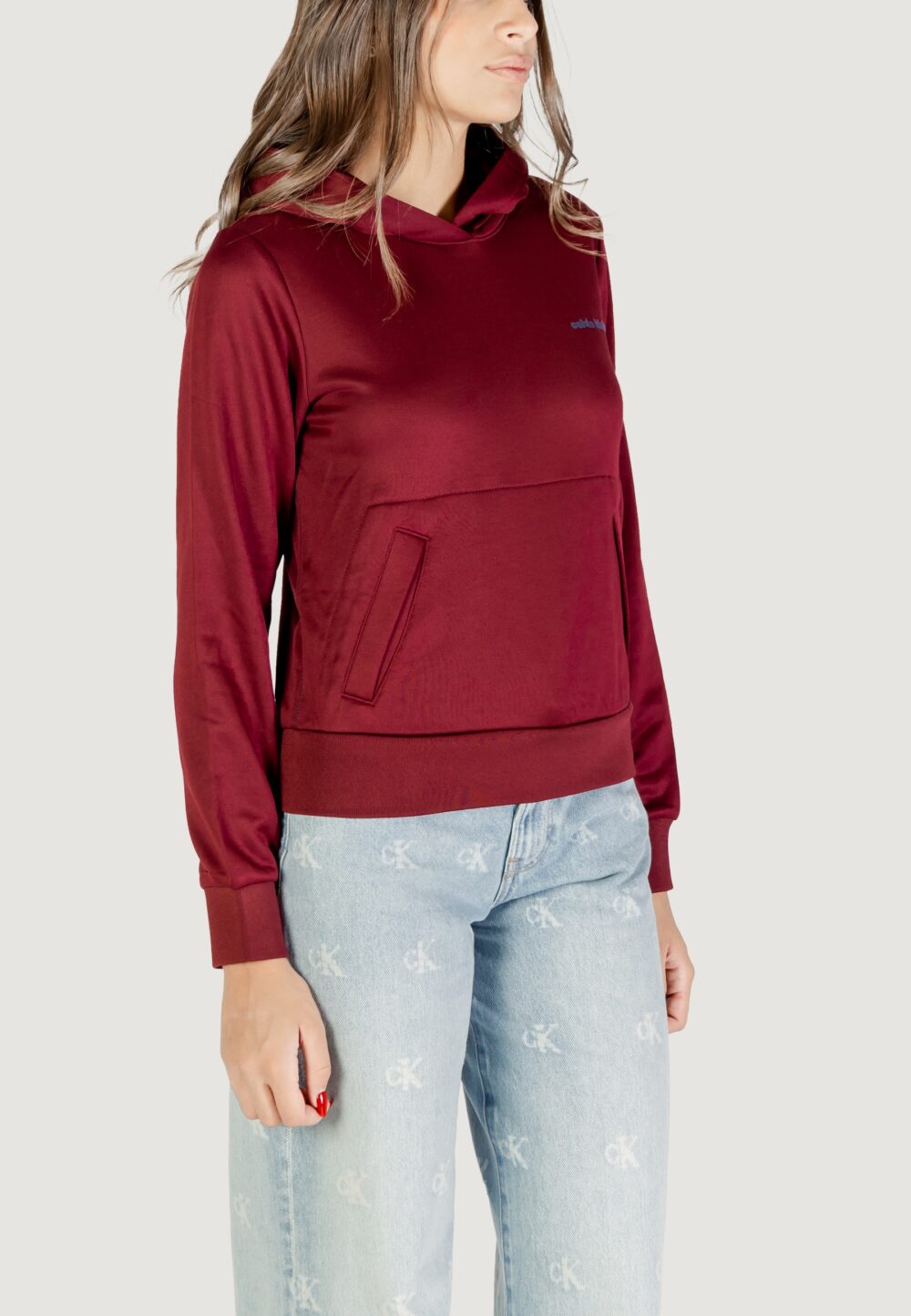 Felpa con cappuccio Calvin Klein LS HGH SHN FRNCH TRR Bordeaux - Foto 3