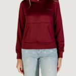 Felpa con cappuccio Calvin Klein LS HGH SHN FRNCH TRR Bordeaux - Foto 4