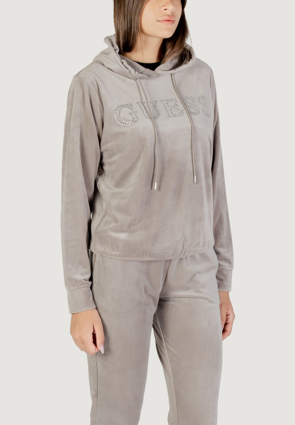 Felpa con cappuccio Guess Active COUTURE HOODIE SWEATSHIRT Taupe - Foto 3