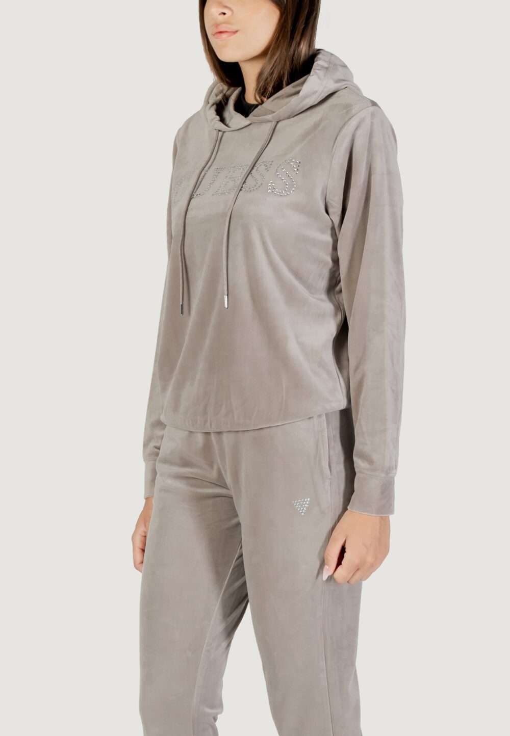 Felpa con cappuccio Guess Active COUTURE HOODIE SWEATSHIRT Taupe - Foto 4
