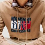 Felpa con cappuccio Tommy Hilfiger Jeans TJM REG RWB FLAG HOO Beige scuro - Foto 2