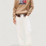 Felpa con cappuccio Tommy Hilfiger Jeans TJM REG RWB FLAG HOO Beige scuro - Foto 3