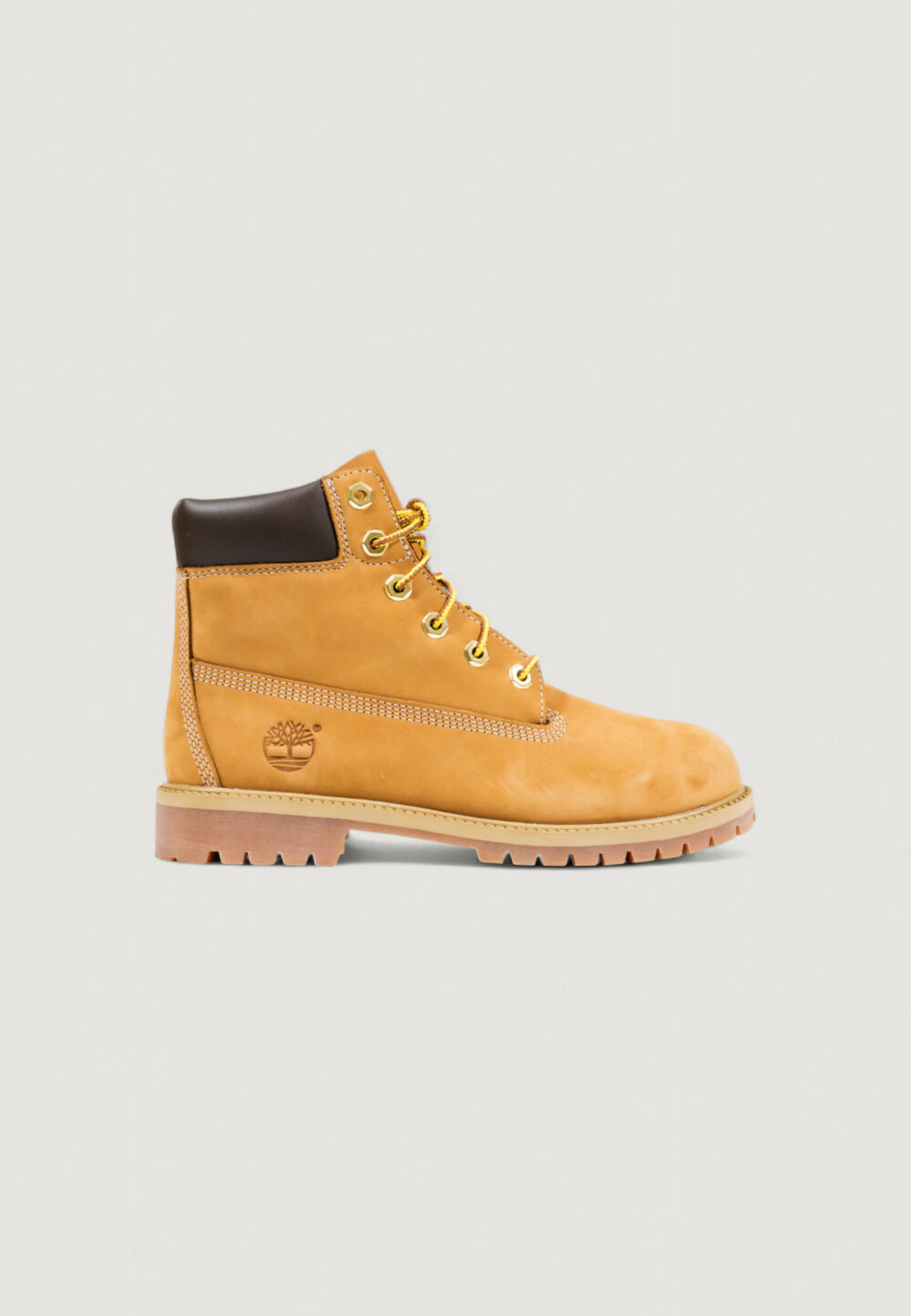 Stivali TIMBERLAND PREM 6 IN LACE WATERPROOF BPPT Medium Cuoio - Foto 1
