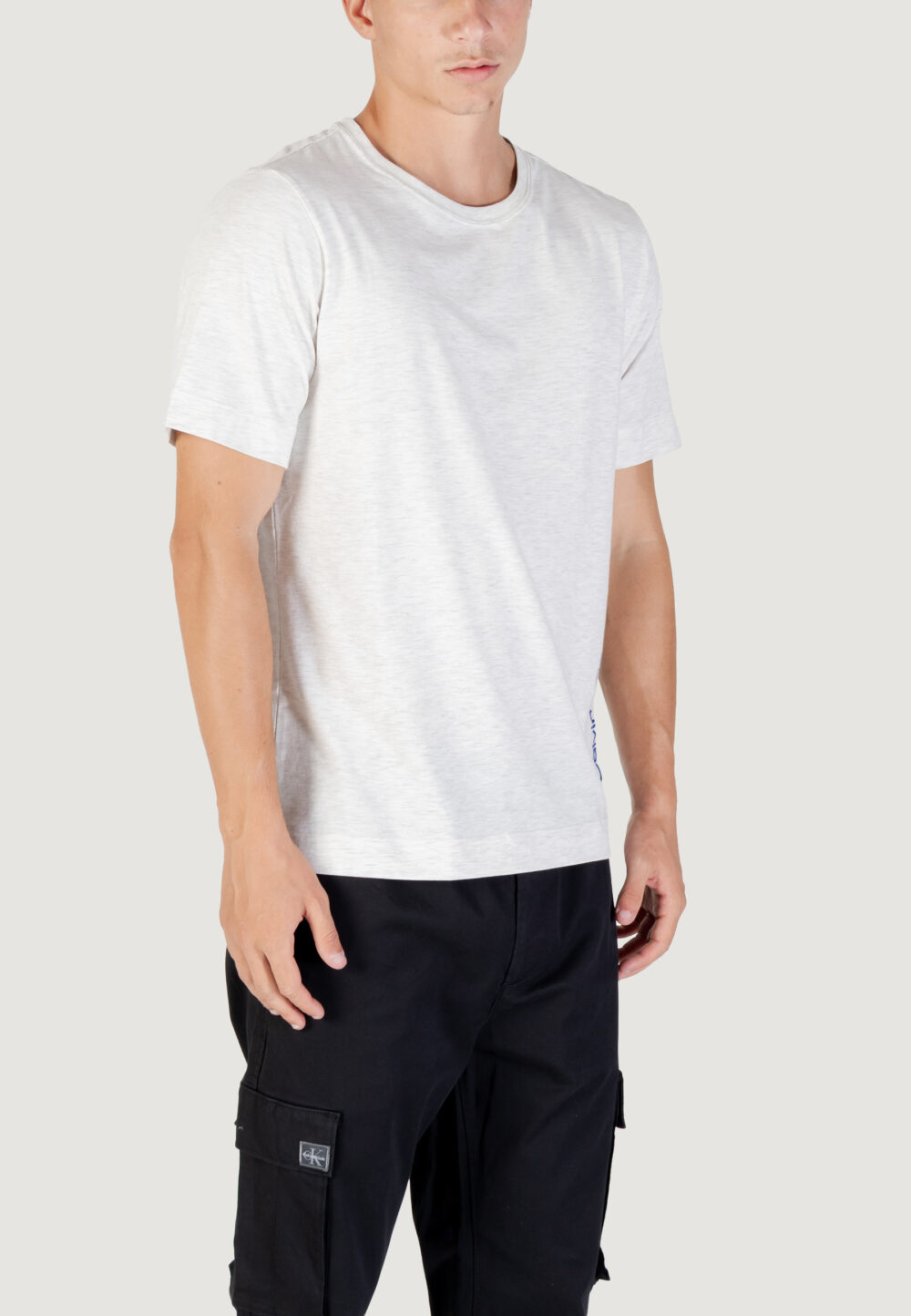 T-shirt Calvin Klein Sport SS TEE Grigio Chiaro - Foto 3