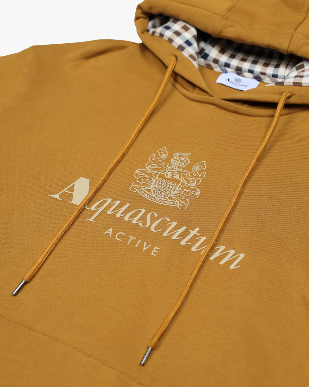 Felpa con cappuccio Aquascutum Active BIG LOGO HOODIE FLEECE Bronzo - Foto 3