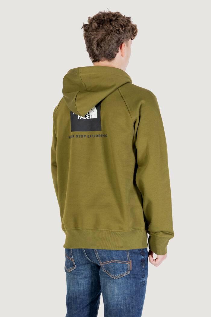 Felpa con cappuccio The North Face M RAGLAN BOX NSE HOODIE Verde – NF0A89F9DIW