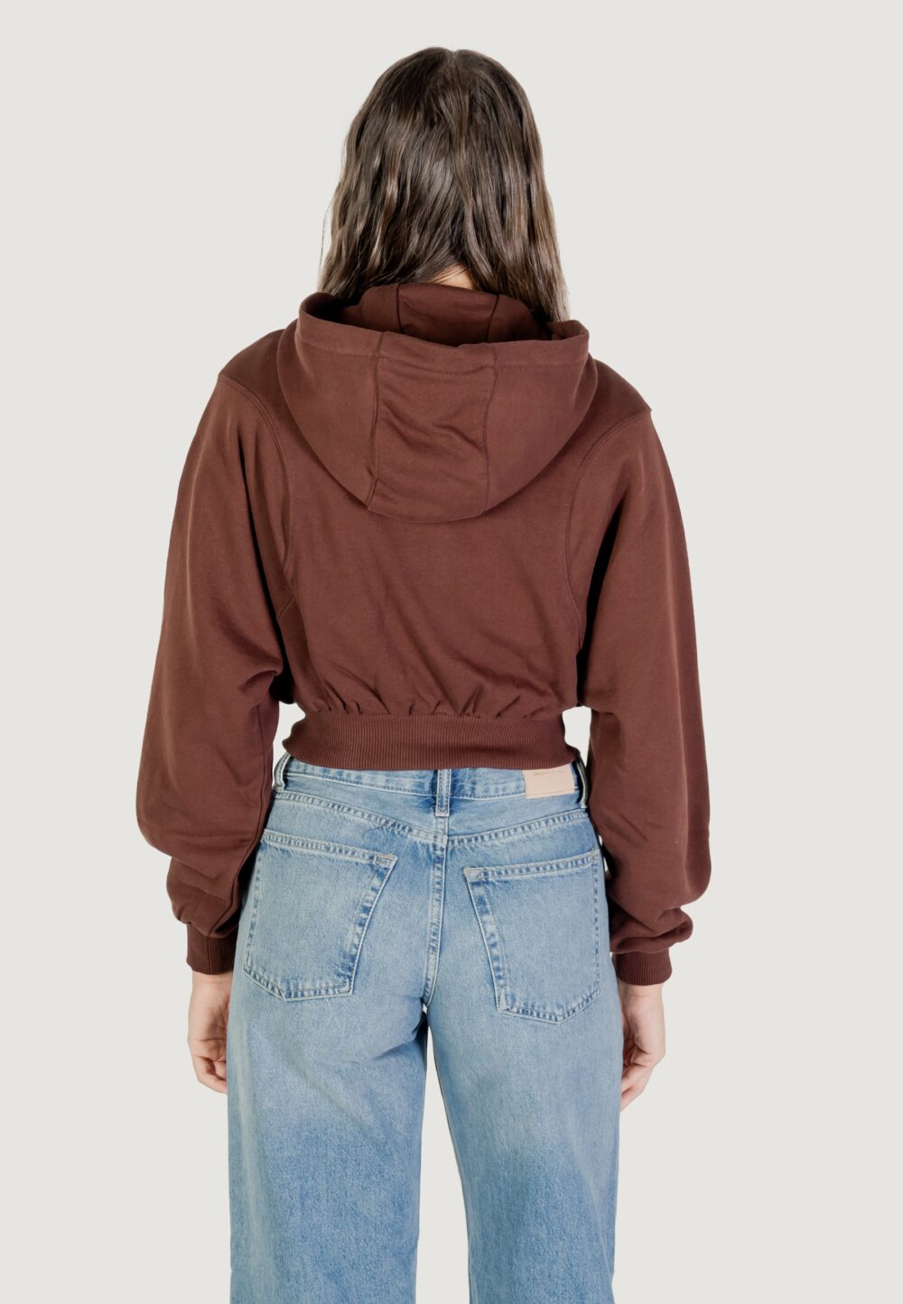 Felpa con cappuccio Tommy Hilfiger Jeans TJW RLX CRP S-FLAG Z Marrone - Foto 4