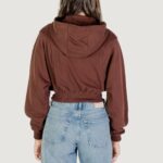 Felpa con cappuccio Tommy Hilfiger Jeans TJW RLX CRP S-FLAG Z Marrone - Foto 4