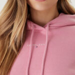 Felpa con cappuccio Tommy Hilfiger Jeans TJW REG LINEAR HOODI Rosa - Foto 4