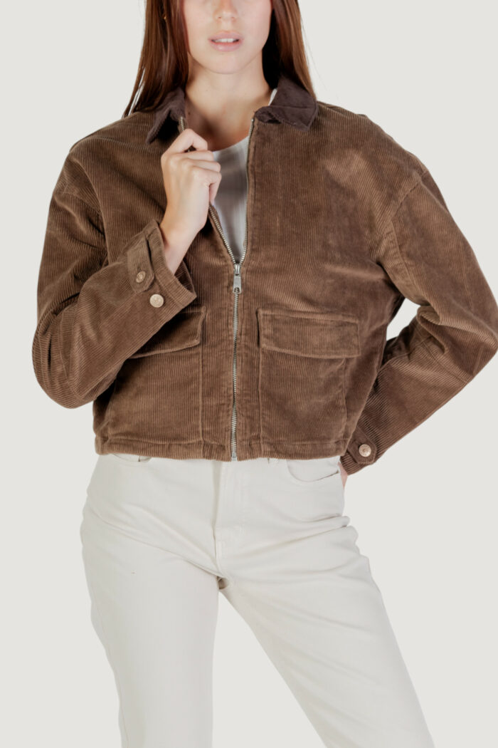 Giacchetto Only ONLGLOBAL L/S CORD JACKET CC PNT Marrone